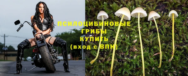 каннабис Медногорск