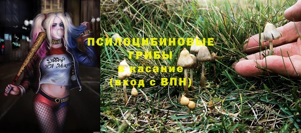 кристаллы Мегион