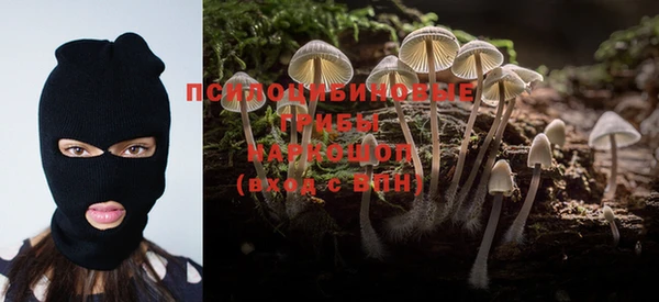 PSILOCYBIN Верея