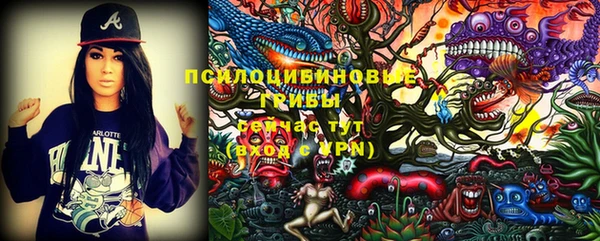 гашик Медвежьегорск